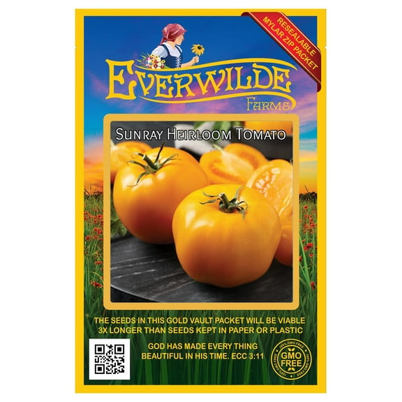 Everwilde Farms - 100 Sunray Heirloom Tomato Seeds - Gold Vault Jumbo Bulk Seed Packet