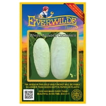 Everwilde Farms - 100 White Wonder Cucumber Seeds - Gold Vault Jumbo Bulk Seed Packet