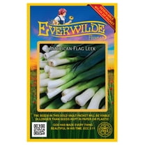 Everwilde Farms - 1000 American Flag Leek Seeds - Gold Vault Jumbo Bulk Seed Packet