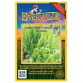 thumbnail image 1 of Everwilde Farms - 1000 Amish Deer Tongue Leaf Lettuce Seeds - Gold Vault Jumbo Bulk Seed Packet, 1 of 4