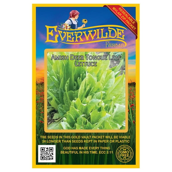Everwilde Farms - 1000 Amish Deer Tongue Leaf Lettuce Seeds - Gold Vault Jumbo Bulk Seed Packet