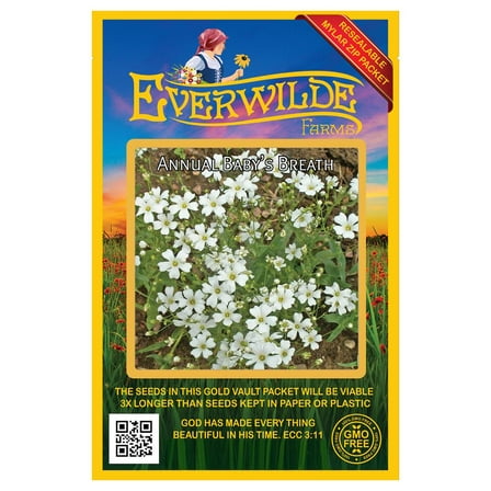 Everwilde Farms - 1000 Annual Babys Breath Garden Flower Seeds - Gold Vault Jumbo Bulk Seed Packet