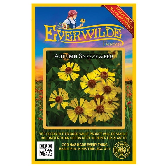 Everwilde Farms - 1000 Autumn Sneezeweed Native Wildflower Seeds - Gold Vault Jumbo Bulk Seed Packet