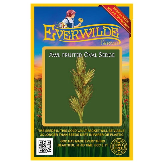Everwilde Farms - 1000 Awl fruited Oval Sedge Native Grass Seeds - Gold Vault Seed Packet