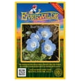 thumbnail image 1 of Everwilde Farms - 1000 Baby Blue Eyes Native Wildflower Seeds - Gold Vault Jumbo Bulk Seed Packet, 1 of 5