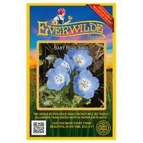 Everwilde Farms - 1000 Baby Blue Eyes Native Wildflower Seeds - Gold Vault Jumbo Bulk Seed Packet