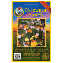Everwilde Farms - 1000 Ballerina Mixed California Poppy Garden Flower Seeds - Gold Vault Jumbo Bulk Seed Packet