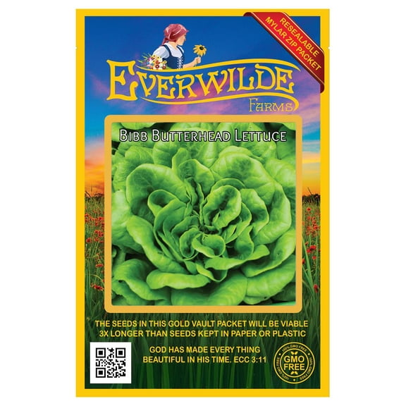 Everwilde Farms - 1000 Bibb Butterhead Lettuce Seeds - Gold Vault Jumbo Bulk Seed Packet