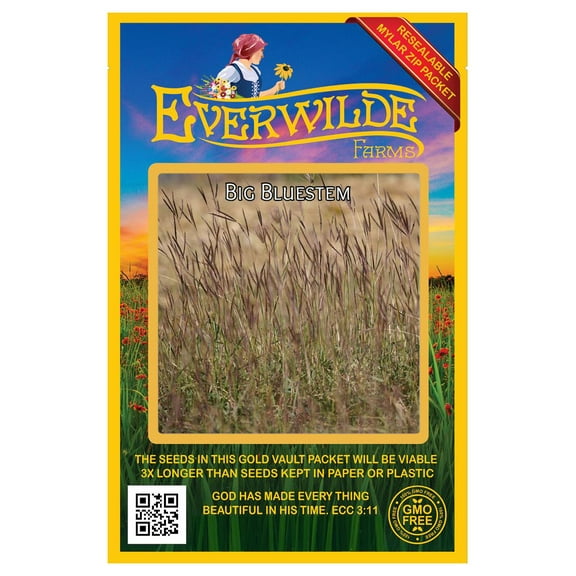 Everwilde Farms - 1000 Big Bluestem Native Grass Seeds - Gold Vault Jumbo Bulk Seed Packet