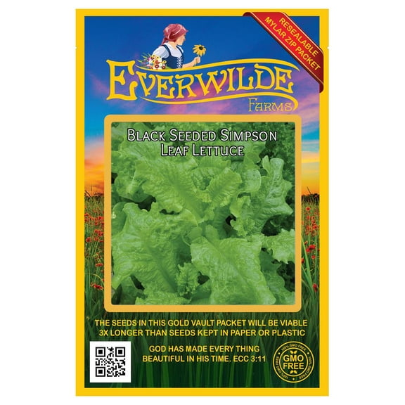 Everwilde Farms 1000 Black Seeded Simpson Leaf Lettuce Plant Seeds, Heirloom