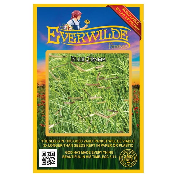 Everwilde Farms - 1000 Blue Grama Native Grass Seeds - Gold Vault Jumbo Bulk Seed Packet