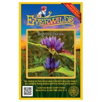 Everwilde Farms - 1000 Bottle Gentian Native Wildflower Seeds - Gold Vault Seed Packet