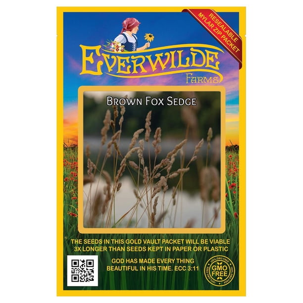 Everwilde Farms - 1000 Brown Fox Sedge Native Grass Seeds - Gold Vault ...