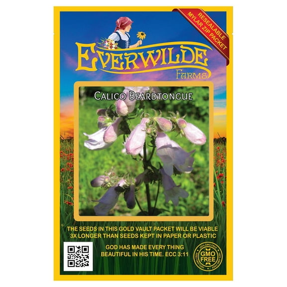 Everwilde Farms - 1000 Calico Beardtongue Native Wildflower Seeds - Gold Vault Seed Packet