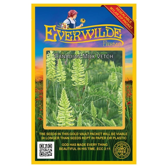Everwilde Farms - 1000 Canadian Milk Vetch Native Wildflower Seeds - Gold Vault Jumbo Bulk Seed Packet