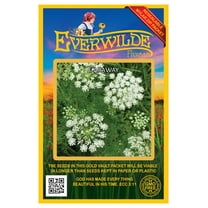 Everwilde Farms - 1000 Caraway Herb Seeds - Gold Vault Jumbo Bulk Seed Packet