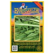 Everwilde Farms - 1000 Catalogna Emerald Endive Seeds - Gold Vault Jumbo Bulk Seed Packet