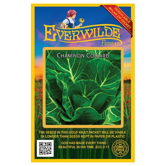 Everwilde Farms - 1000 Champion Collard Seeds - Gold Vault Jumbo Bulk Seed Packet