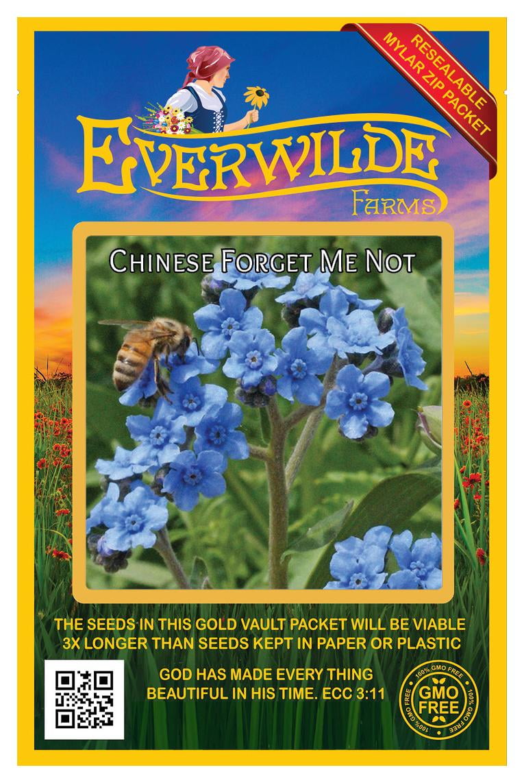 Everwilde Farms - 1000 Chinese Forget Me Not Garden Flower Seeds - Gold  Vault Jumbo Bulk Seed Packet 