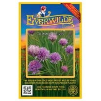 Everwilde Farms - 1000 Common Chives Herb Seeds - Gold Vault Jumbo Bulk Seed Packet