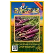 Everwilde Farms - 1000 Cosmic Purple Carrot Seeds - Gold Vault Jumbo Bulk Seed Packet