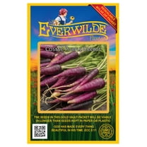 Everwilde Farms - 1000 Cosmic Purple Carrot Seeds - Gold Vault Jumbo Bulk Seed Packet