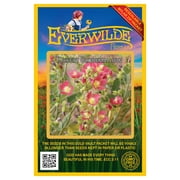 Everwilde Farms - 1000 Desert Globemallow Native Wildflower Seeds - Gold Vault Jumbo Bulk Seed Packet