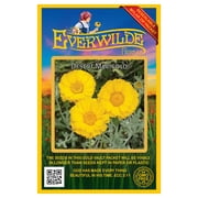 Everwilde Farms - 1000 Desert Marigold Native Wildflower Seeds - Gold Vault Seed Packet