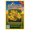 thumbnail image 1 of Everwilde Farms - 1000 Early Sunflower Native Wildflower Seeds - Gold Vault Jumbo Bulk Seed Packet, 1 of 5