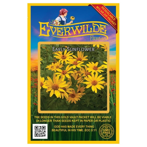 Everwilde Farms - 1000 Early Sunflower Native Wildflower Seeds - Gold Vault Jumbo Bulk Seed Packet