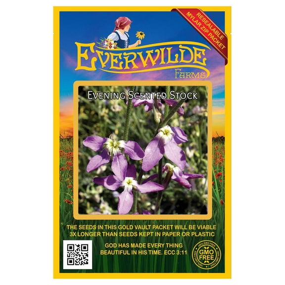 Everwilde Farms - 1000 Evening Scented Stock Garden Flower Seeds - Gold Vault Jumbo Bulk Seed Packet