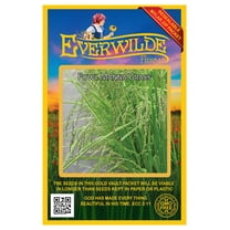 Everwilde Farms - 1000 Fowl Manna Grass Native Grass Seeds - Gold Vault Seed Packet