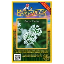 Everwilde Farms - 1000 Garlic Chives Herb Seeds - Gold Vault Jumbo Bulk Seed Packet