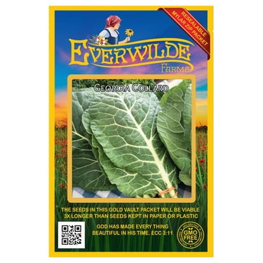 Everwilde Farms - 1000 Georgia Collard Seeds - Gold Vault Jumbo Bulk Seed Packet