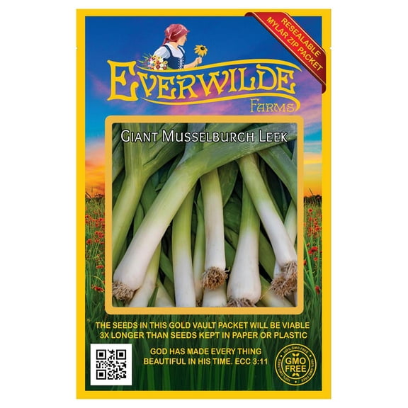 Everwilde Farms - 1000 Giant Musselburg Leek Seeds - Gold Vault Jumbo Bulk Seed Packet