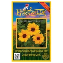 Everwilde Farms - 1000 Golden Wave Tickseed Native Wildflower Seeds - Gold Vault Jumbo Bulk Seed Packet