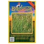 Everwilde Farms - 1000 Great Bulrush Native Grass Seeds - Gold Vault Jumbo Bulk Seed Packet