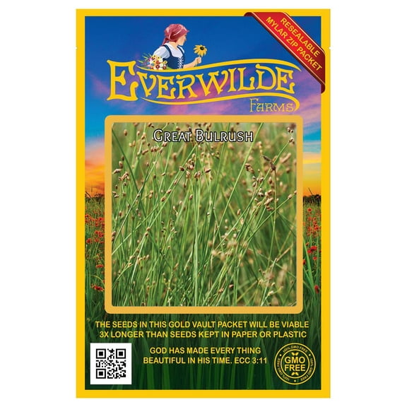 Everwilde Farms - 1000 Great Bulrush Native Grass Seeds - Gold Vault Jumbo Bulk Seed Packet