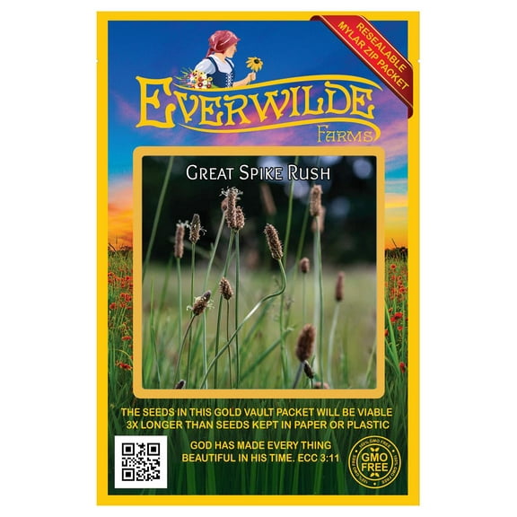 Everwilde Farms - 1000 Great Spike Rush Native Grass Seeds - Gold Vault Seed Packet