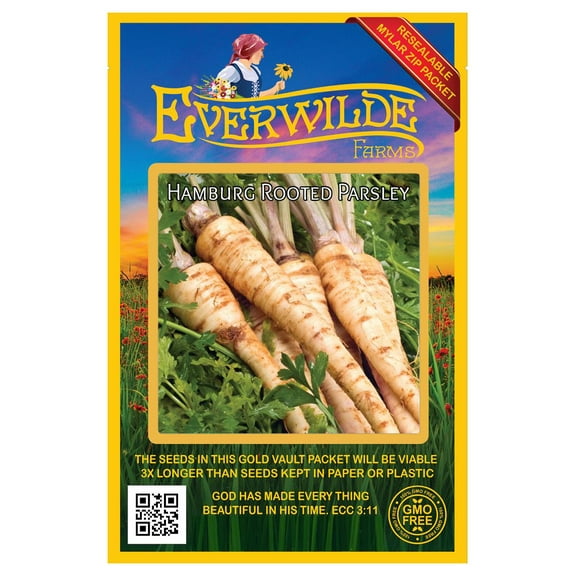 Everwilde Farms - 1000 Hamburg Rooted Parsley Seeds - Gold Vault Jumbo Bulk Seed Packet