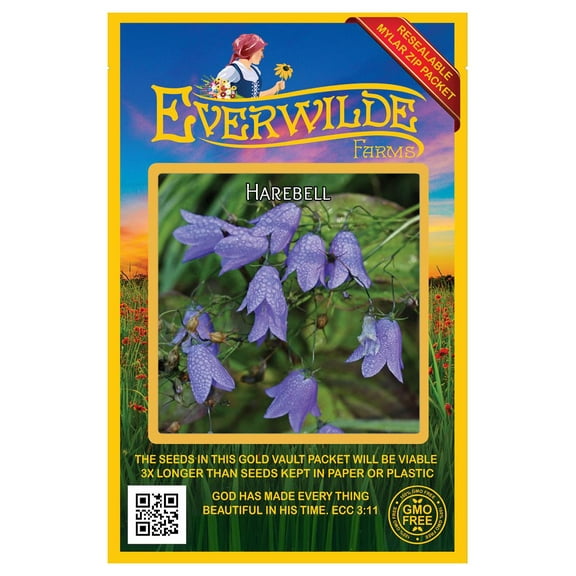 Everwilde Farms - 1000 Harebell Native Wildflower Seeds - Gold Vault Seed Packet