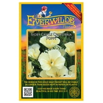 Everwilde Farms - 1000 Ivory Castle California Poppy Garden Flower Seeds - Gold Vault Jumbo Bulk Seed Packet
