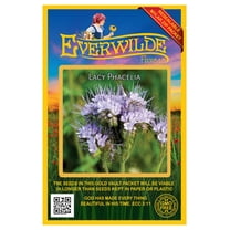 Everwilde Farms 1000 Lacy Phacelia Wildflower Seeds, Attracts Pollinators