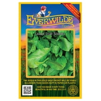 Everwilde Farms - 1000 Large Leaf Sorrel Herb Seeds - Gold Vault Jumbo Bulk Seed Packet