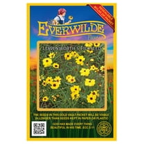 Everwilde Farms - 1000 Leavenworth's Tickseed Native Wildflower Seeds - Gold Vault Seed Packet