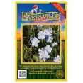 thumbnail image 1 of Everwilde Farms - 1000 Lewis Flax Native Wildflower Seeds - Gold Vault Jumbo Bulk Seed Packet, 1 of 5
