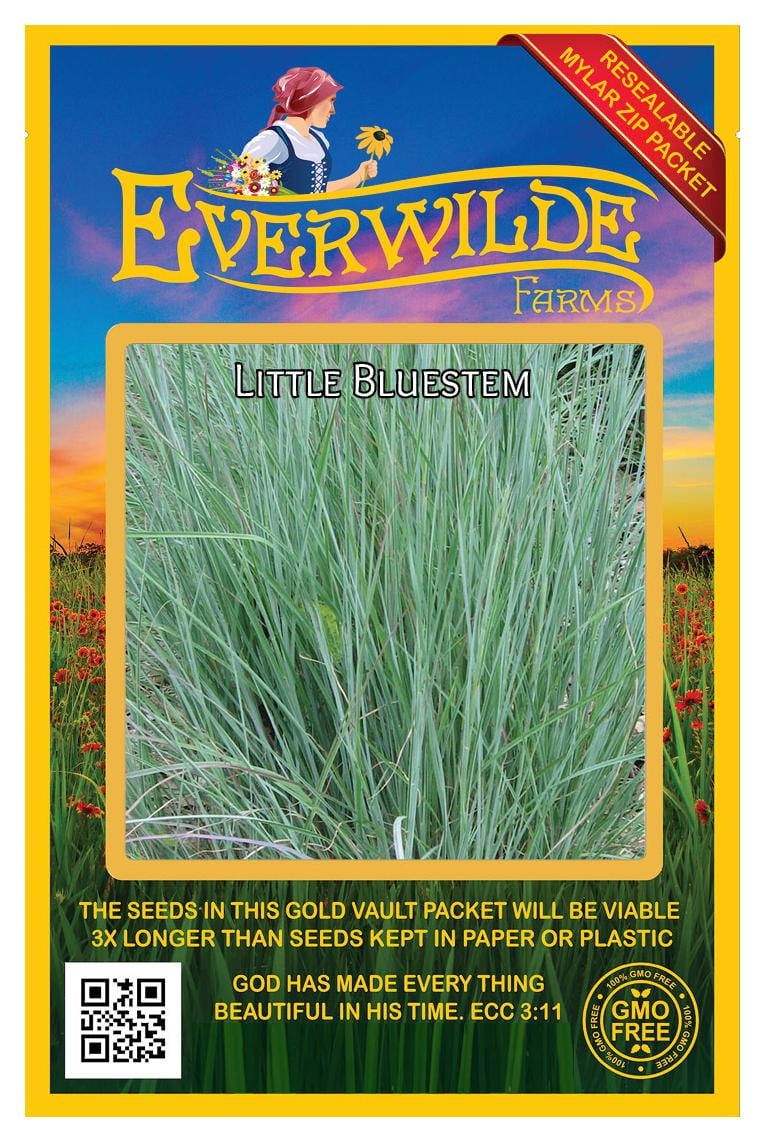 Everwilde Farms 1000 Little Bluestem Native Grass Seeds Gold Vault