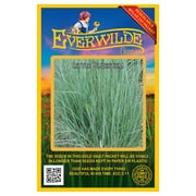 Everwilde Farms - 1000 Little Bluestem Native Grass Seeds - Gold Vault Jumbo Bulk Seed Packet