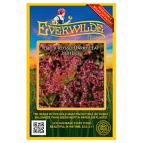 Everwilde Farms - 1000 Lolla Rosso Darky Leaf Lettuce Seeds - Gold Vault Jumbo Bulk Seed Packet