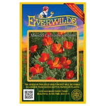 Everwilde Farms - 1000 Mikado California Poppy Garden Flower Seeds - Gold Vault Jumbo Bulk Seed Packet